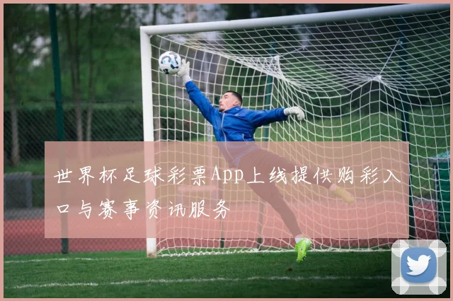 世界杯足球彩票App上线提供购彩入口与赛事资讯服务