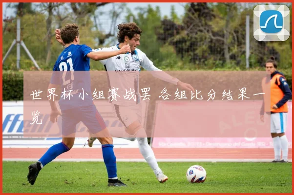 世界杯小组赛战罢 各组比分结果一览