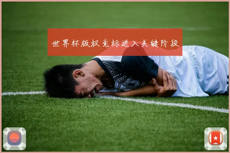 世界杯版权竞标进入关键阶段
